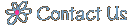 small fry press contact info